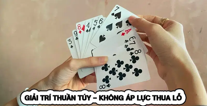 Chơi Game Đánh Bài Miễn Phí - Tân Thủ Chọn 5 Trò Dễ 2026 8 Giải trí thuần túy - không áp lực thua lỗ