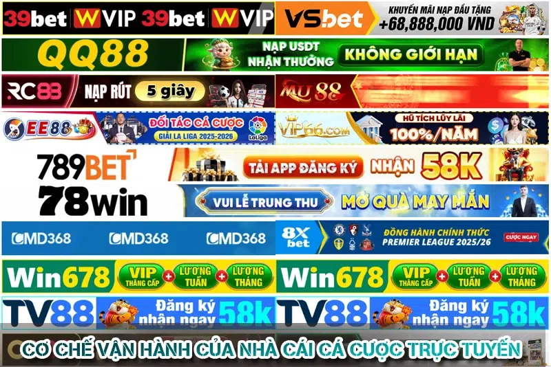 Cá Cược Trực Tuyến - Góc Nhìn Thực Tế Cho Người Mới 2026 7 Cơ Chế Vận Hành Của Nhà Cái Cá Cược Trực Tuyến